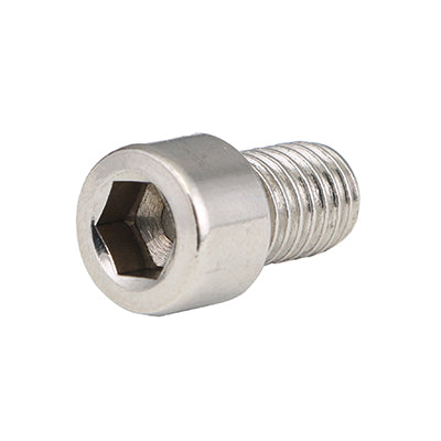 Socket Head Screw Chrome M8x1.25x11